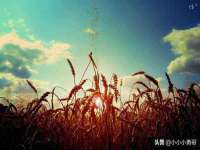 太原卡爱吃强电气设备有限公司