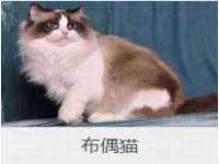 太原卡爱吃强电气设备有限公司
