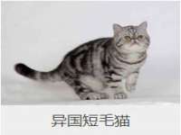 太原卡爱吃强电气设备有限公司