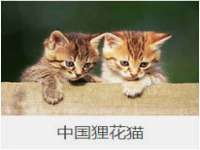 太原卡爱吃强电气设备有限公司