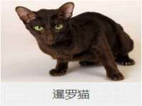 太原卡爱吃强电气设备有限公司