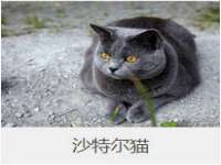太原卡爱吃强电气设备有限公司