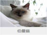 太原卡爱吃强电气设备有限公司