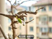 太原卡爱吃强电气设备有限公司