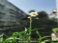 太原卡爱吃强电气设备有限公司
