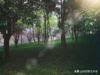 太原卡爱吃强电气设备有限公司