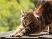 太原卡爱吃强电气设备有限公司