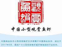 太原卡爱吃强电气设备有限公司