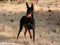 太原卡爱吃强电气设备有限公司